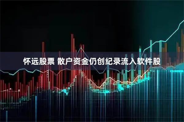 怀远股票 散户资金仍创纪录流入软件股