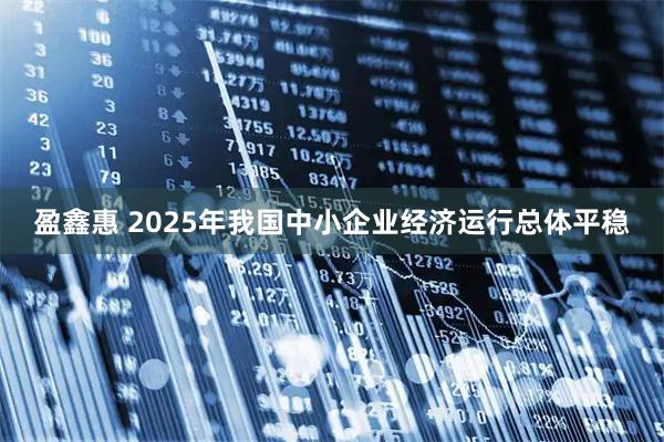 盈鑫惠 2025年我国中小企业经济运行总体平稳