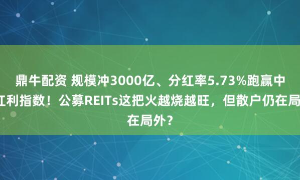 鼎牛配资 规模冲3000亿、分红率5.73%跑赢中证红利指数！公募REITs这把火越烧越旺，但散户仍在局外？