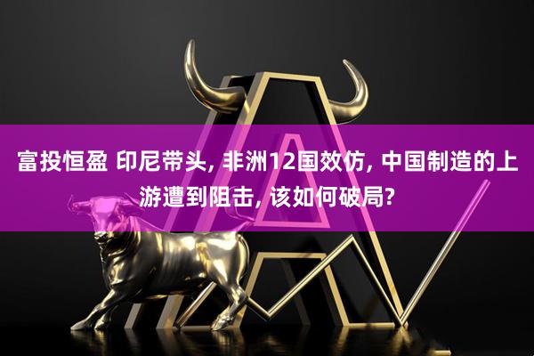 富投恒盈 印尼带头, 非洲12国效仿, 中国制造的上游遭到阻击, 该如何破局?